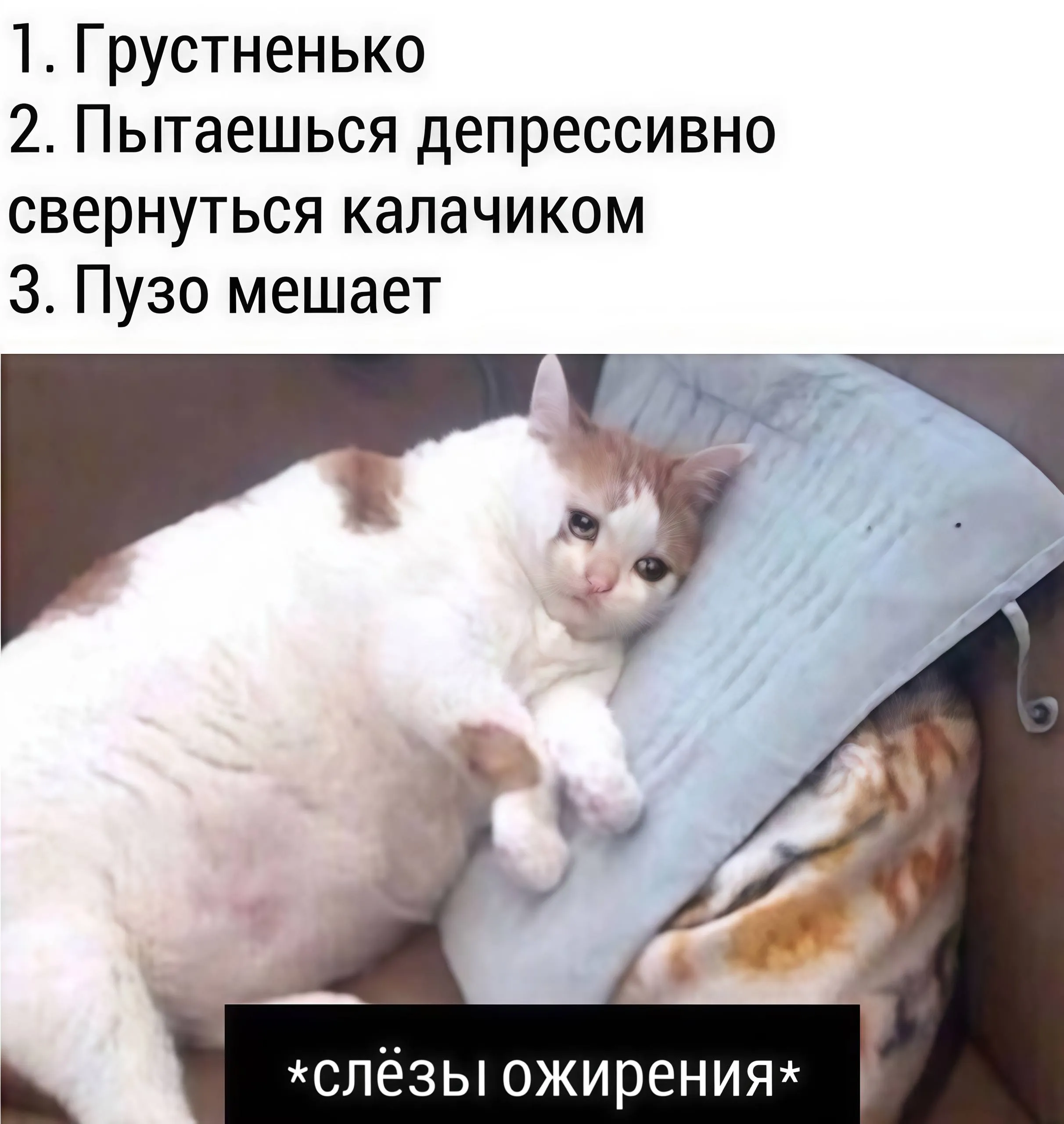 Избыточный вес сейчас фиксируется у 56 россиян а ожирение у 22 26 главный внештатный специалист диетолог Минздрава