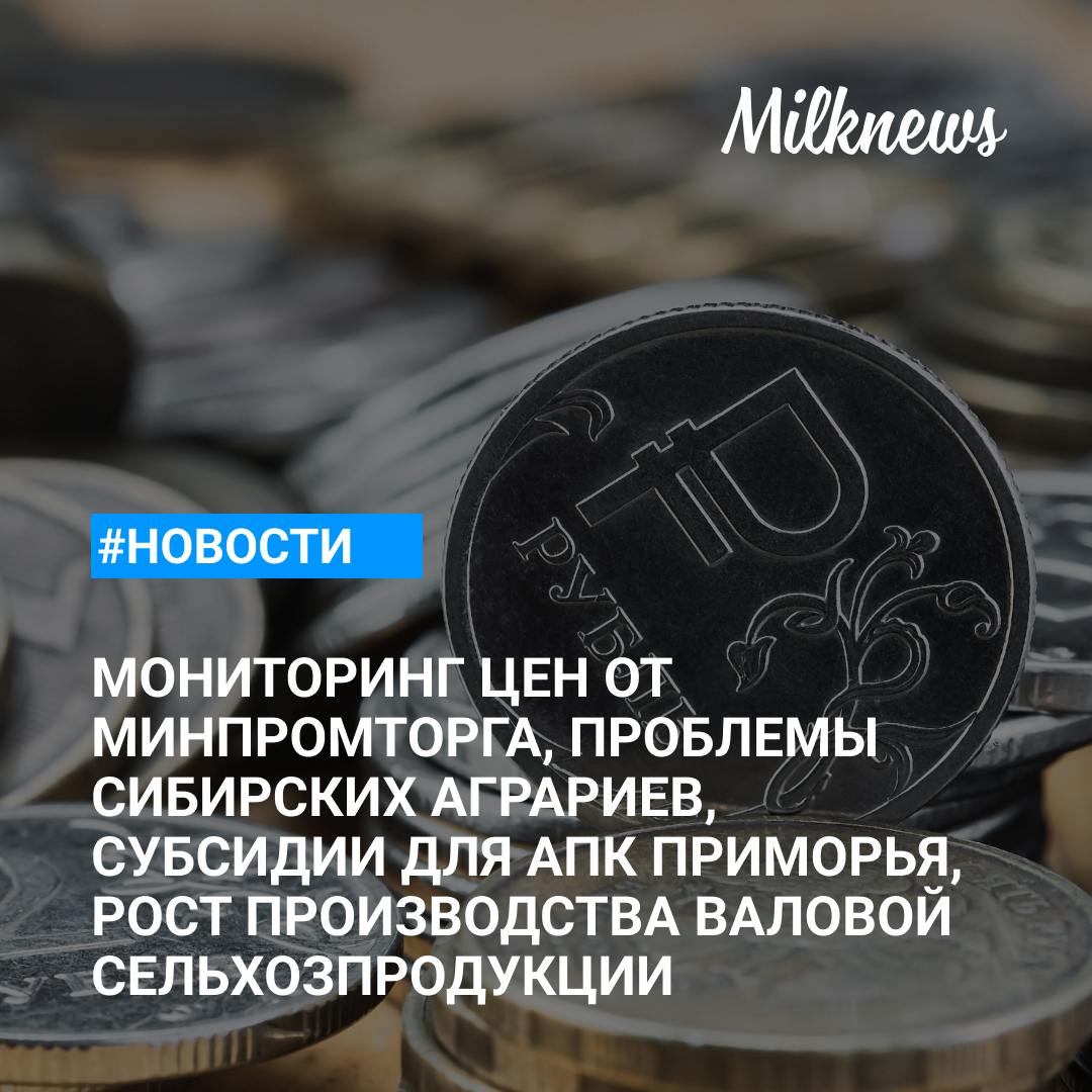 Минпромторг мониторит ситуацию с ценами на продовольствие    Эксперт: сибирские аграрии из-за низких цен на зерно рискуют не рассчитаться по кредитам    АПК Приморья получит 4,3 млрд руб. субсидий в следующем году    Рост производства валовой сельхозпродукции калужского АПК в 2024 году составит 5%    Беларусь готова наращивать поставки молочной продукции и детского питания в Зимбабве