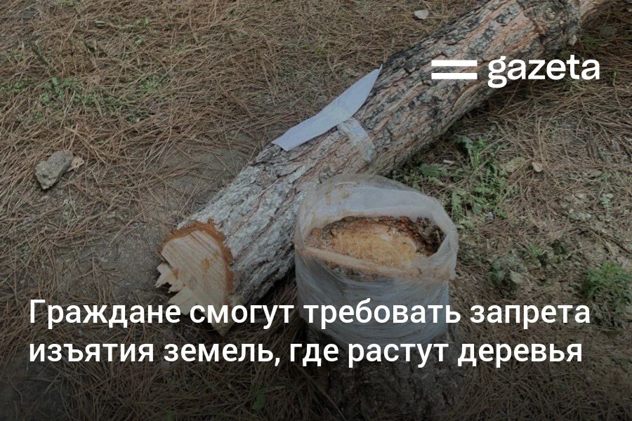 С апреля граждане Узбекистана смогут вносить инициативу по наложению общественностью запрета на изъятие земельных площадей где растут деревья Для наложения запрета Комитета по экологии достаточно будет согласия 10 населения махалли   www gazeta uz ru 2025 11 19 trees Telegram Instagram YouTube