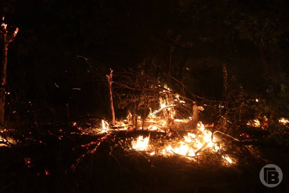 В Волгограде потушили большой пожар Возгорание случилось в ночные часы. Сегодня, 4 июля, в Дзержинском районе Волгограда на большой площади загорелся мусор глубокого залегания. Тревожный сигнал о ЧП на пульт дежурного МЧС поступил в в 00:25. - Горел мусор глубокого залегания на площади четыреста квадратных метров, - уточнили в ведомстве "Городским вестям". К месту возгорания выехали подразделения 15-ПСЧ. Огонь был ликвидирован в 00:55. Погибших и пострадавших, к счастью, нет. Специалисты считают, что пожар возник из-за неосторожного обращения с огнем.