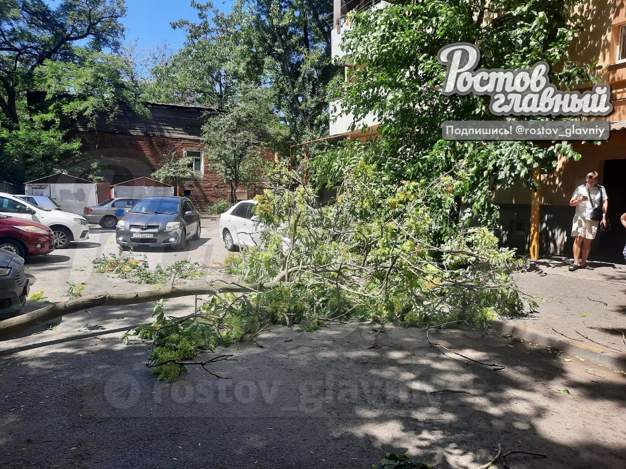 В Ростове сильный ветер снова принялся за деревья Во дворе дома на Максима Горького, 186 ветер повалил огромную ветку рядом с припаркованными машинами. Никто, кроме автомобилей, не пострадал. #ростов #новостиростова #ростовскаяобласть