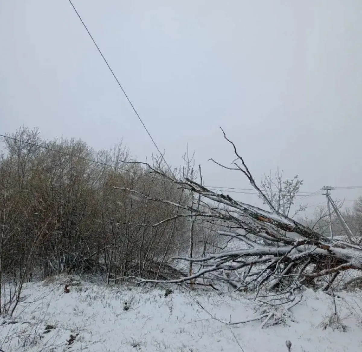 В 5 муниципальных округах Рязанской области пропало электричество   ryazannews ru fn 1854320 html В Рязанской области без света остались сразу пять районов Уже работают 31 бригада и 36 единиц техники Когда восстановят пока неизвестно Подробности внутри   Прислать новость Подписаться   Читайте нас в MAX
