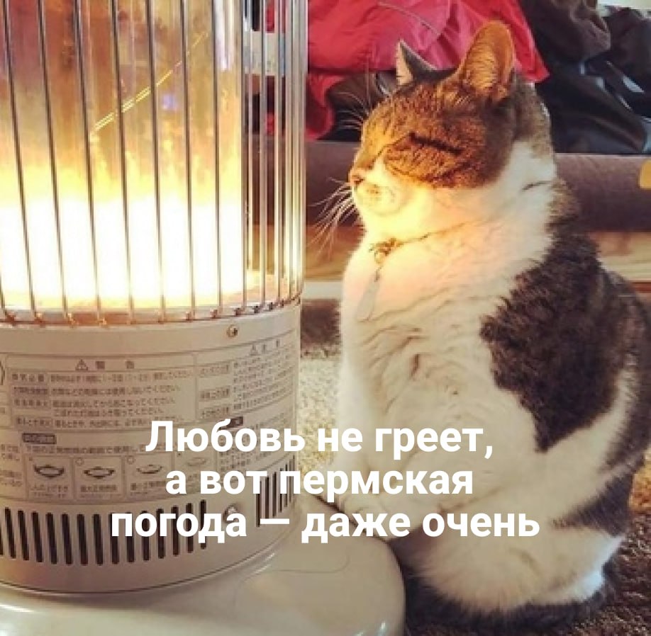 Штормовое предупреждение — на этот раз из-за жары С 29 мая по 2 июня в Перми будет настоящая жара — температура выше нормы на 7 °C. Осадков не будет, а это значит, что возрастает риск пожаров. В Минприроды высокую пожарную опасность ждут до 30 мая «местами по краю». Подписаться Прислать новость