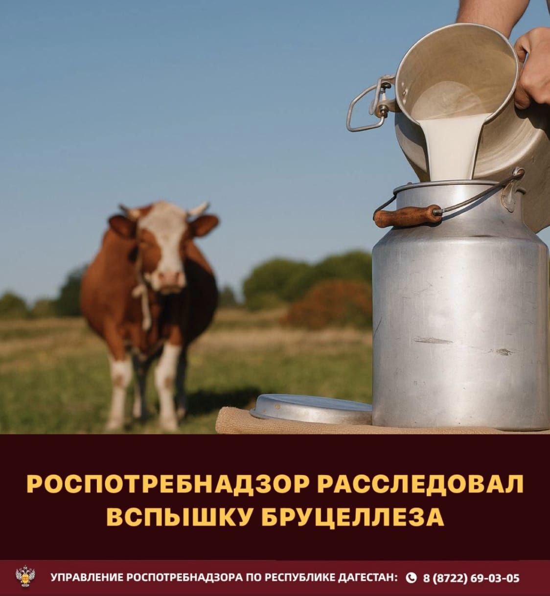 Групповой случай заболевания бруцеллезом выявлен в с. Ичин Сулейман-Стальского района Республики Дагестан. Это члены одной семьи, которые заразились в результате употребления молочной продукции. Всего заболело 8 человек, в том числе 2 детей. Результаты эпидемиологического расследования выявили, что в селе имелось хроническое неблагополучие по бруцеллезу среди домашнего скота. Выявлено 20 голов инфицированного скота. Комплекс противоэпидемических мероприятий позволил не допустить дальнейшего распространения вспышки, в том числе были проведены: - лабораторные исследования продуктов и смывов, которые выявили зараженное сырье молоко ; - лабораторные исследования круга контактных и медицинское наблюдение за ними; - во взаимодействии с ветеринарами организован убой инфицированного скота; - в очаге проведена заключительная дезинфекция. Важно помнить, что возникновение и распространение бруцеллеза среди людей происходит при наличии неучтенного, соответственно не обследованного на бруцеллез скота, отказе от проведения ежегодной вакцинации скота.