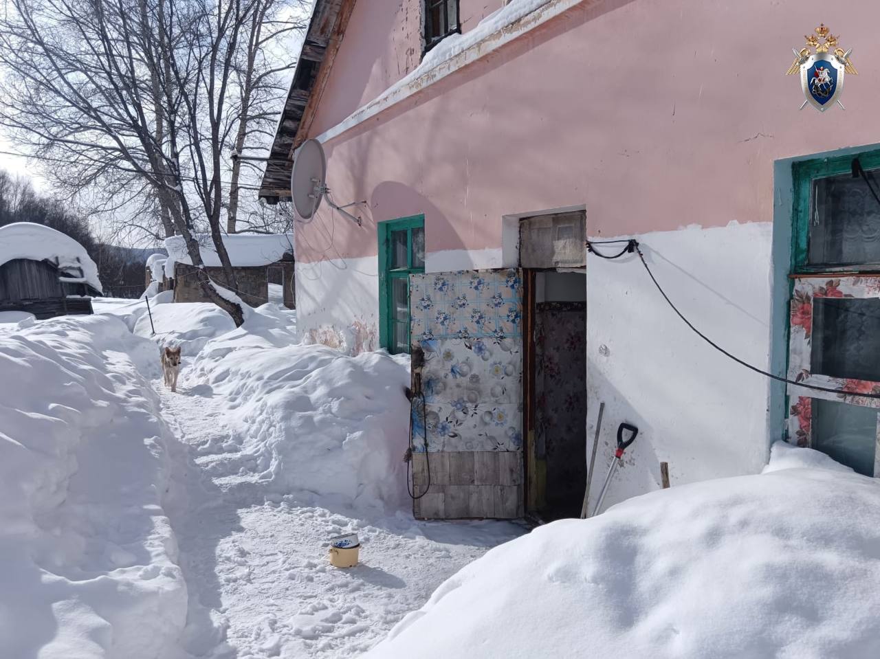 Собаки загрызли женщину: хозяйка ответит в суде 64-летнюю жительницу села Ожидаево будут судить за смерть соседки, на которую напали её собаки. Животные были без поводков и намордников, хозяйка отпустила их на самовыгул. После нападения женщина не вызвала скорую, хотя перенесла пострадавшую в дом. Та скончалась. Обвиняемой грозит до 2 лет лишения свободы. Уголовное дело передано в суд. Источник: СУ СК РФ по Сахалинской области; прокуратура Сахалинской области #Местное Прислать новость Буст