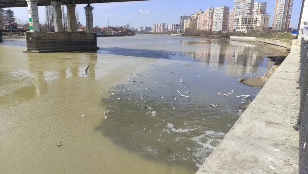 23 незаконных стока в реку Кубань нашел Росприроднадзор Глава Росприроднадзора Светлана Радионова сообщила что в 2024 году ведомство выявило 23 точки несанкционированных стоков в реку Кубань и выдало 6 предостережений администрации Краснодара По словам чиновницы Краснодар Водоканал проигнорировал запрос по уменьшению негативного воздействия на реку Кроме того с 2023 по 2025 год Росприроднадзор направил главе Краснодарского края 10 информационных писем о проблемах с отходами и их последствиях Есть интересная новость Присылайте нам Краснодар Сегодня ПРИСЛАТЬ НОВОСТЬ