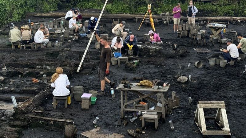 5 сентября на Троицком XVI раскопе в Великом Новгороде экспедицией Московского государственного университета им М В Ломоносова и Центра археологических исследований Новгородского музея заповедника была найдена целая с небольшими утратами берестяная грамота получившая номер 1236 Это четвёртая грамота с Троицкого XVI раскопа за сезон Грамота в отличие от большинства остальных написана на внешней белой стороне коры Она представляет собой короткое сообщение о том что Дмитр с неким Пунею послали весть матери прочтение Алексея Гиппиуса Далее написаны отдельные буквы Д ЖЕ ЖЖ расшифровка которых ещё предстоит Новгородский музей заповедник