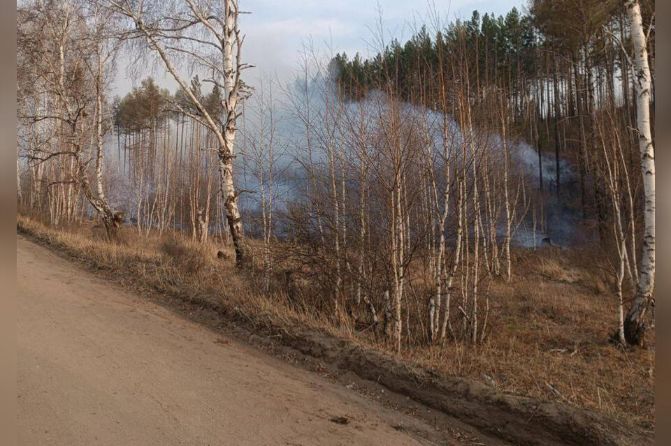 Глава Минприроды Забайкалья Павел Волжин объявил об окончании пожароопасного сезона с 31 октября 2025 года С установлением устойчивого снежного покрова и снижением температуры сезон считается завершённым подчеркнул он Пожароопасный сезон в регионе начался 24 марта с первого лесного пожара площадью 1 5 га в Читинском лесничестве С того дня введён особый противопожарный режим режим ЧС федерального уровня действовал с 23 апреля до 11 июля Всего за сезон зарегистрировано 701 пожар на площади 2 7 млн гектаров