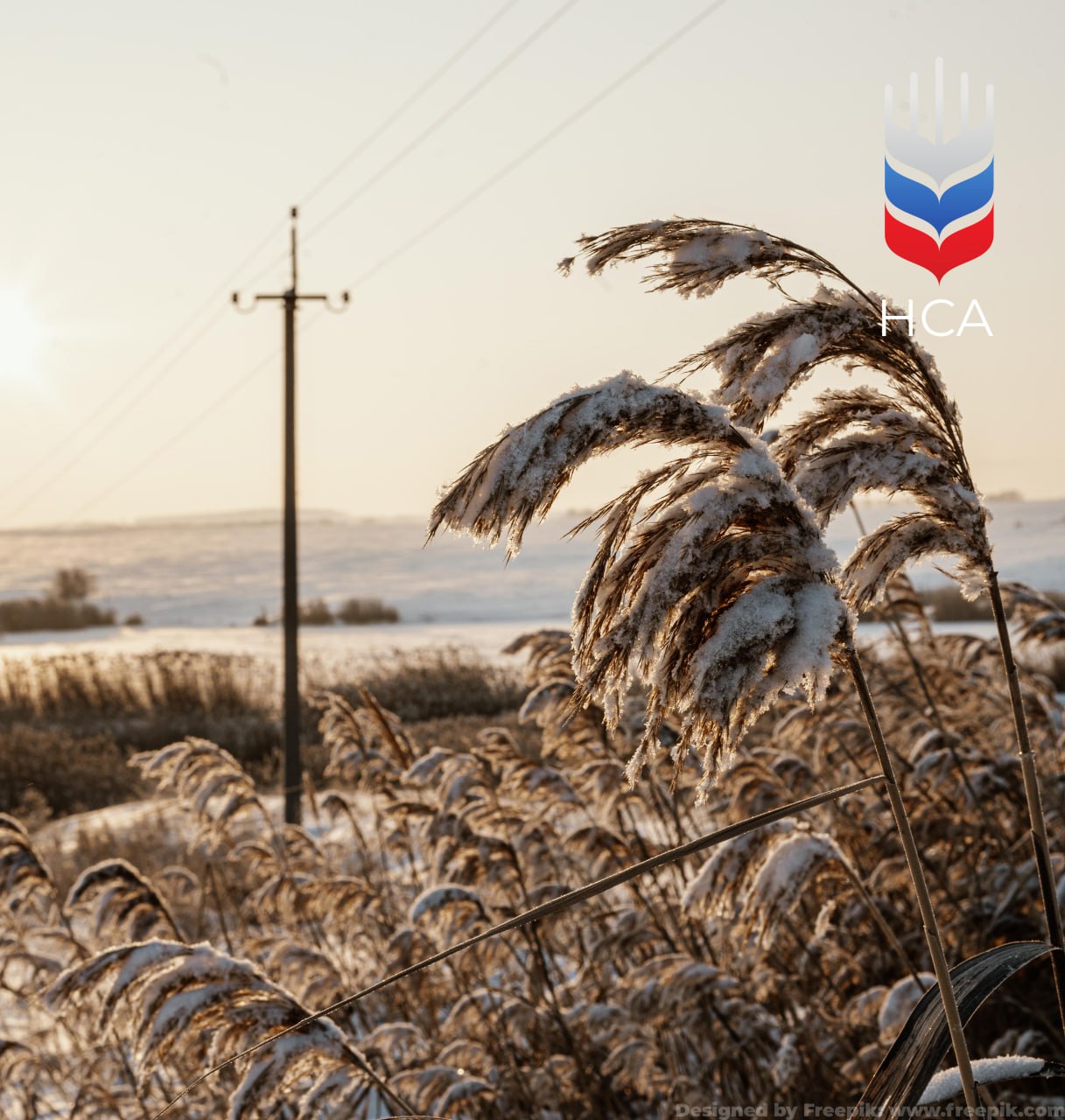 В Томской области аграрии не успели убрать весь урожай до снега этот вопрос поднял на заседании областной Думы депутат и директор ЗАО Дубровское Геннадий Сергеенко Он предложил рассмотреть введение режима ЧС для поддержки хозяйств Проблема касается преимущественно рапса картофеля и капусты зерновые в регионе убраны на 98 Ранее крупнейший производитель картофеля Томской области компания Колпаков сообщила что не смогла собрать около 10 урожая 25 га остались в поле   По данным НСА в Томской области под урожай 2025 года было застраховано почти 114 тыс га сельхозкультур  77 тыс га по программе ЧС  36 тыс га по системе мультириск В 2024 году в регионе уже вводился режим ЧС из за осеннего переувлажнения которое помешало убрать урожай Застрахованные аграрии региона получили по этому событию 37 млн рублей возмещения