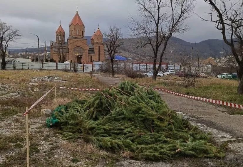 В Новороссийске принимать новогодние ели на переработку будут до 31 января.  Определены места сбора деревьев. Натуральные деревья частично утилизируют. Некоторые из них передадут в парк живой природы «ДоДо».