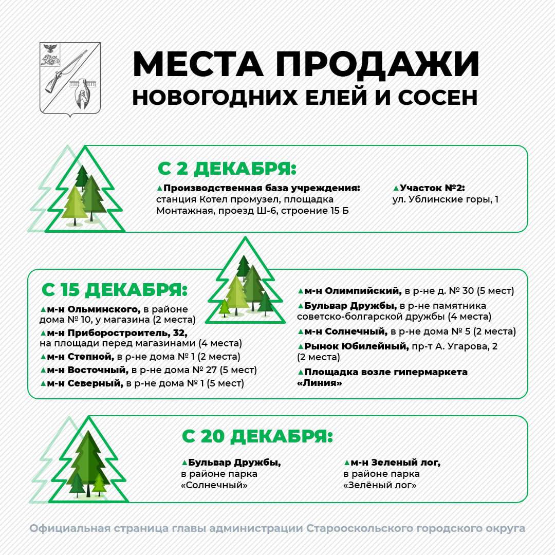 В Старом Осколе 15 декабря начнут работу ёлочные базары, - сообщил Андрей Чесноков.