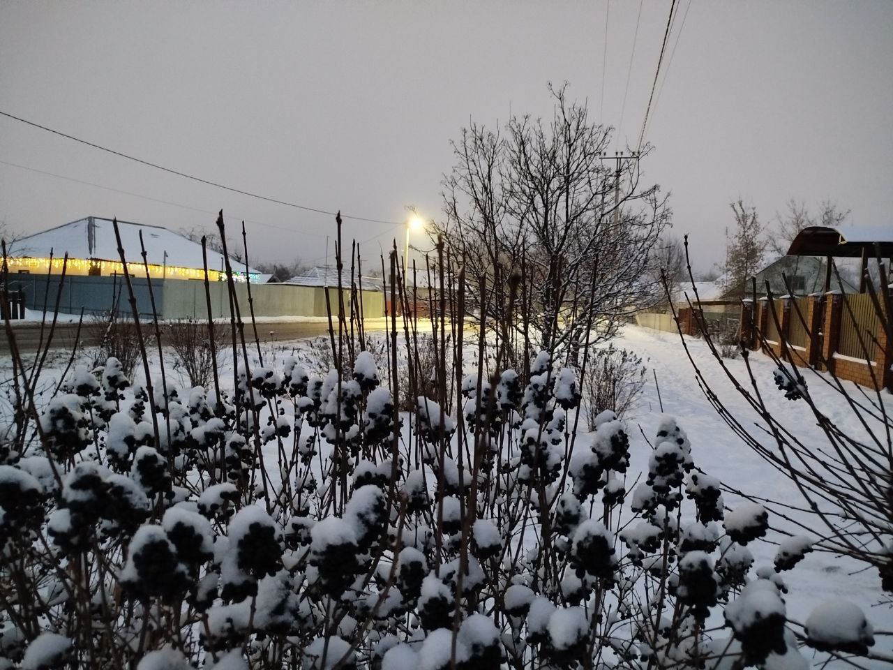 В России с 1 января появятся новые дорожные знаки    В Тамбове состоится Забег обещаний В аэропортах Внуково и Шереметьево из за ограничений задержали более 270 рейсов В ГД предложили назначать страховую пенсию с возникновения права на нее Александр Овечкин обновил рекорд НХЛ с 912 забитыми шайбами Читайте ночной обзор