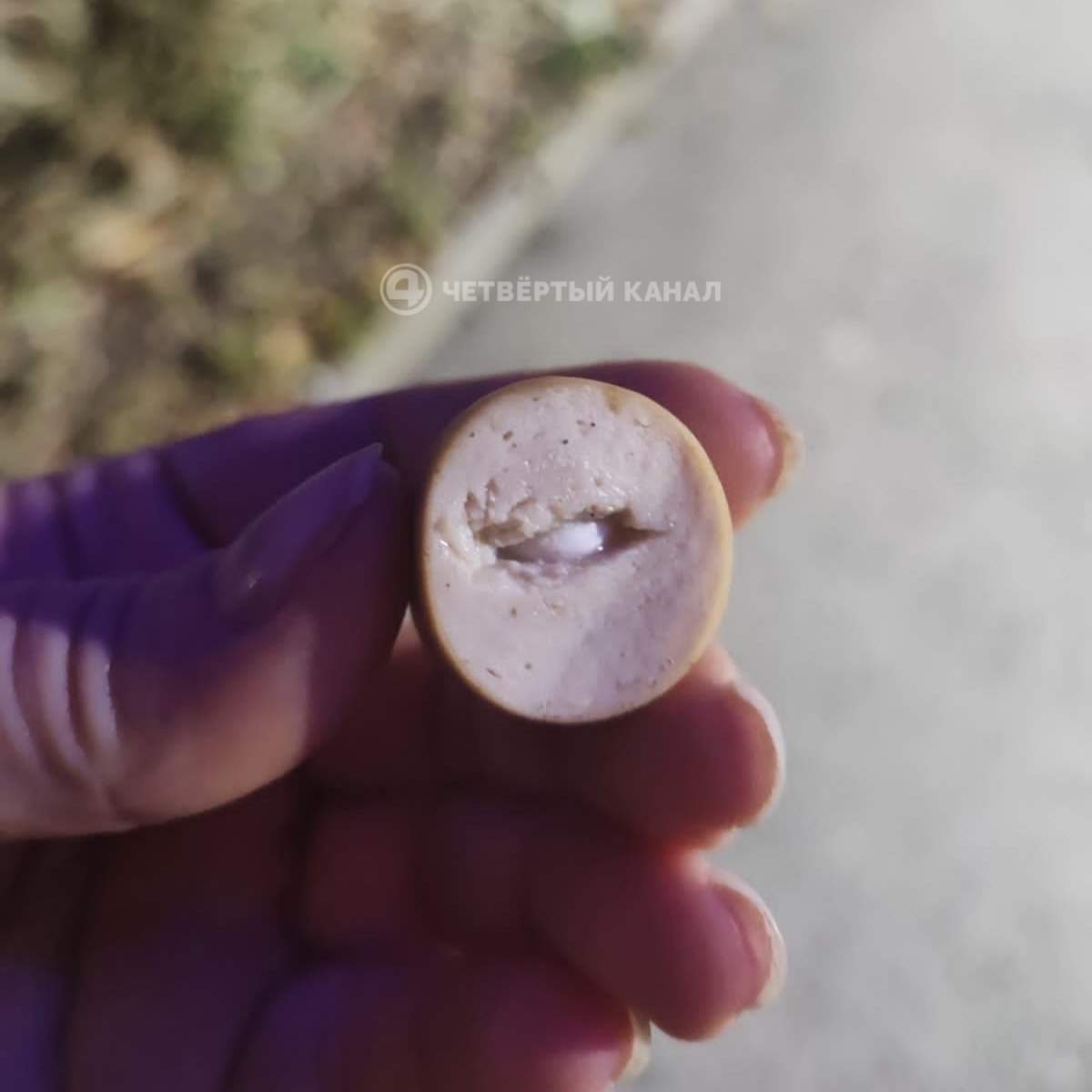 Догхантер появился на Эльмаше женщина разбрасывает сосиски с таблетками во дворах Три собаки уже получили сильное отравление после прогулки возле ЖК Изумрудный Бор в Екатеринбурге и по информации наших читателей находятся в тяжёлом состоянии Одна из собак умерла Владельцы пострадавших животных подали заявление в полицию Местные жители винят в произошедшем одну из жительниц комплекса Женщина в свою очередь утверждает что это лишь средство самообороны Да нам неприятно и мы не готовы принимать выгул животных на придомовой территории Просили каждого владельца лично Нам неприятно когда в ответ на замечания вы заметьте не собаки начинаете агрессировать Никто уже лично вас не хочет взывать к совести и просить пройти на выгул за периметр Законы пишут не зря Не я не соседи Мне 52 за все эти годы я таких оскорблений не слышала никогда Средства обороны сейчас заряжены написала женщина в чате дома это слишком опасная самооборона хозяевам собак тоже стоит быть ответственнее Подписаться на 4 канал Мы в MAX