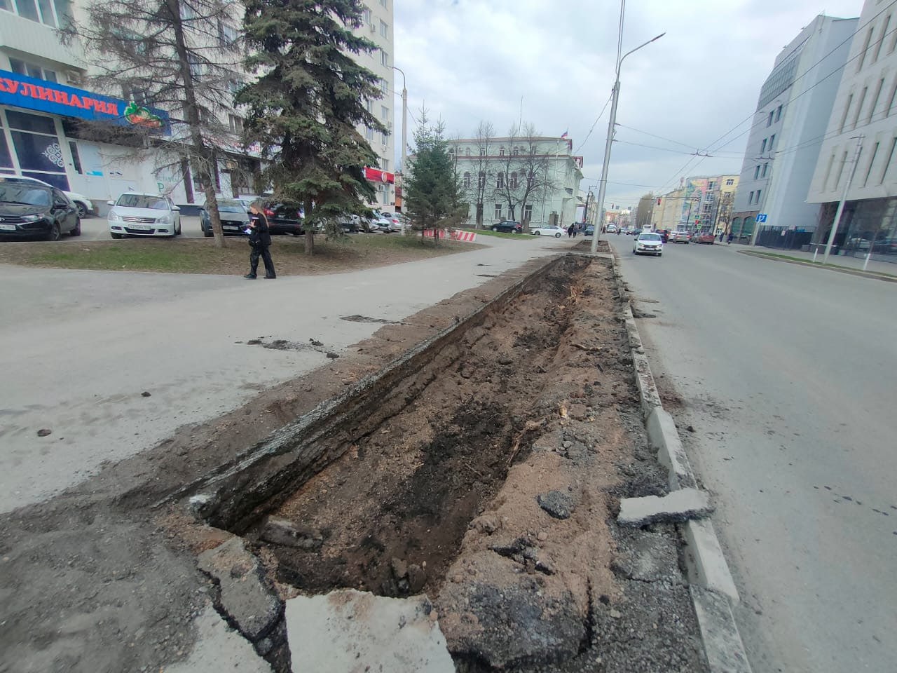 В центре Уфы ради высадки новой липовой аллеи сняли часть асфальта   Как заявил глава Кировского района Илвир Нурдавлятов, деревья будут высаживать 26 апреля на улице Карла Маркса от улицы Пушкина до Заки Валиди. Сейчас здесь идет подготовка – рабочие уже сняли часть асфальта для посадки.