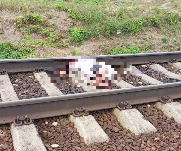 В Алтайском крае поезд насмерть сбил 60-летнюю женщину  Трагедия произошла сегодня возле села Аллак Каменского района. Местная жительница переходила железную дорогу в неположенном месте и погибла под колесами поезда.  Обстоятельства выясняет транспортная полиция.