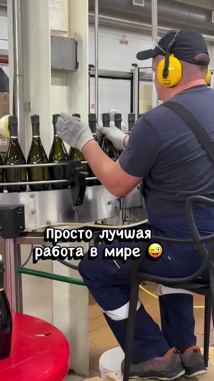 Обнаружена идеальная работа для интровертов: проверка упаковки бутылок