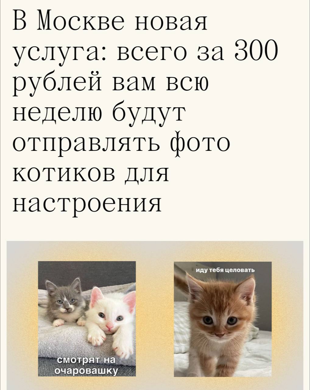 В Москве появились предприимчивые люди, которые решили заработать на вечной любви к милым картинкам с котиками. Они предлагают услуги по отправке очаровательных мемов: за 300-350 рублей в утренние и вечерние часы они будут делиться забавными видео и изображениями. При этом, выбор мессенджера остается за клиентом. Однако, стоит задуматься: такие радости лучше дарить от чистого сердца!