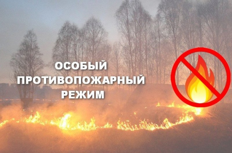 Особый противопожарный режим установлен в ЛНР до 31 октября 2025 года. Соответствующее постановление принято Правительством ЛНР. Введены дополнительные требования пожарной безопасности. Вот некоторые из них: Запрет на использование открытого огня, в том числе для приготовления пищи, сжигания всех видов отходов, сухой растительности на всей территории ЛНР, включая территории жилого фонда и любой из форм частной собственности. Обеспечение регулярного вывоза мусора с контейнерных площадок, недопущение наличия на контейнерных площадках горючего мусора. Запрет на посещение лесов при установлении 4-5 классов пожарной опасности. Обеспечение безвозмездного использования общественного транспорта для экстренной эвакуации населения. Полный перечень мер и ограничений — по ссылке Прислать новость Подписаться