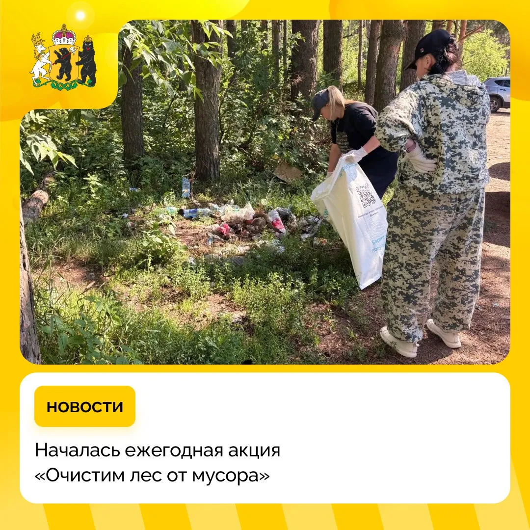 В Ярославской области в лесах проходят субботники Началась ежегодная акция Очистим лес от мусора Она ежегодно проходит с мая по октябрь во всех муниципальных округах региона В этом сезоне субботники уже провели в Некоузском Пошехонском Любимском и Даниловском лесничествах В прошлом году в акции приняли участие более 850 жителей Ярославской области которые ликвидировали около 70 лесных свалок Стать волонтером может каждый подробную информацию о датах и местах проведения субботников можно уточнить в лесничествах округов