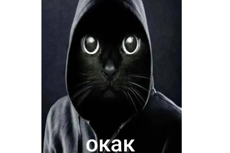 Худшие и лучшие мемы года определили россияне Лабубу и мемы про юмор миллениалов стали самыми надоевшими мемами 2025 года по версии по версии ВКонтакте и портала Memepedia Также антимемами года стали слова хип хоп исполнителя Ганвест песня Плывет веночек Надежды Кадышевой и птица Скебоб Лучшие мемы года слова Сам решу из выпуска Шоу Воли картинки с львом который все делает без удовольствия слово окак на картинке с котом в капюшоне вирусная фраза А ниче тот факт что из видео пародий на подростков и другие передает ТАСС О как Веночек то за что Канал Ариг Ус в MAX