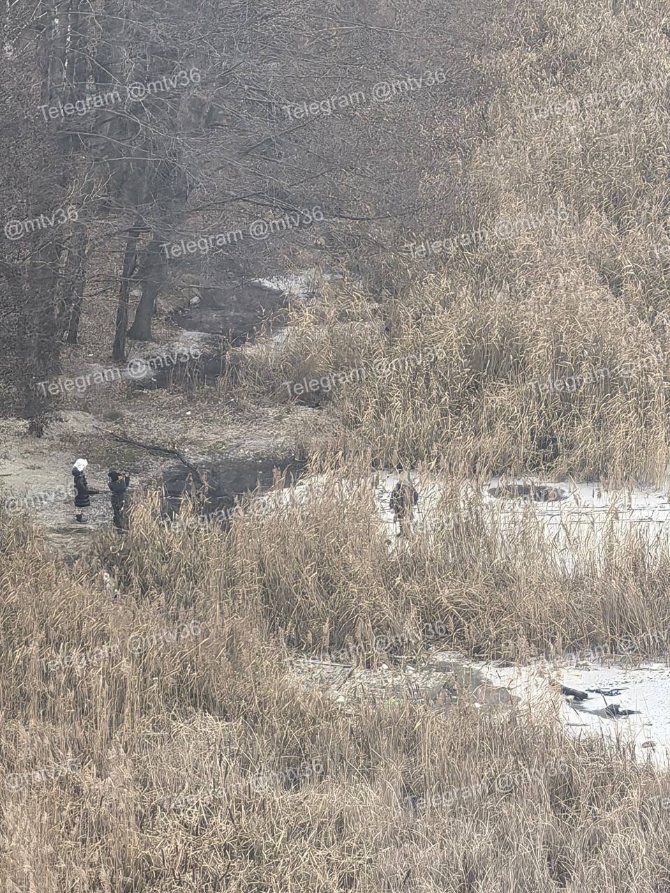 На Воронежском водохранилище дети ходят по тонкому льду По словам очевидцев прогулку ребята устроили недалеко от жилого комплекса Лазурный Кроме того храбрецов видели также в микрорайоне Отрожка Подписывайтесь на канал РИА Воронеж в Max