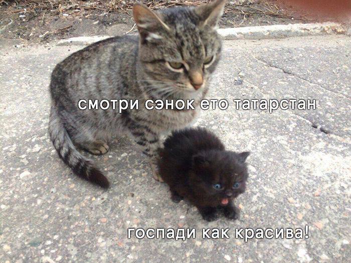 Речной маршрут из Казани в Самару с промежуточной точкой в Ульяновске планируют запустить летом 2025 года Об этом сообщил губернатор Ульяновской области. Рейсы станут продолжением проекта восстановления речного сообщения Казани и Ульяновска: в прошлом году между городами уже курсировал метеор «Муса Джалиль». Расширение водной траектории позволит создать полноценный туристический маршрут по главным городам Поволжья.
