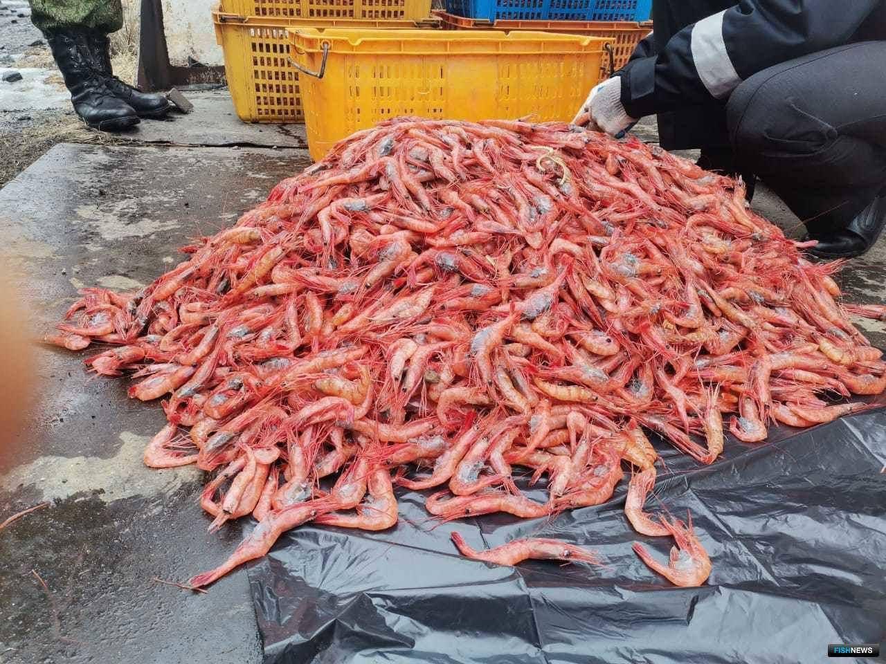 Капитана из Находки осудили за браконьерский вылов креветки В Приморье вынесли приговор 48 летнему капитану рыболовного судна из Находки По данным суда мужчина решил заработать на деликатесе и вместо разрешённого улова организовал добычу креветки Инцидент произошёл в апреле 2022 года у мыса Островной Капитан дал команду экипажу ловить северную гребенчатую и равнолапую японскую креветку Тралом добыли более 14 тысяч особей после чего улов сразу сварили прямо на судне Вину мужчина признал Суд назначил 3 года условно а также запретил добывать биоресурсы на 1 год Донный трал подлежит уничтожению Кроме того капитан должен возместить государству более 3 2 млн рублей ущерба на его счета уже наложен арест   Реклама  Поддержать канал Остались вопросы