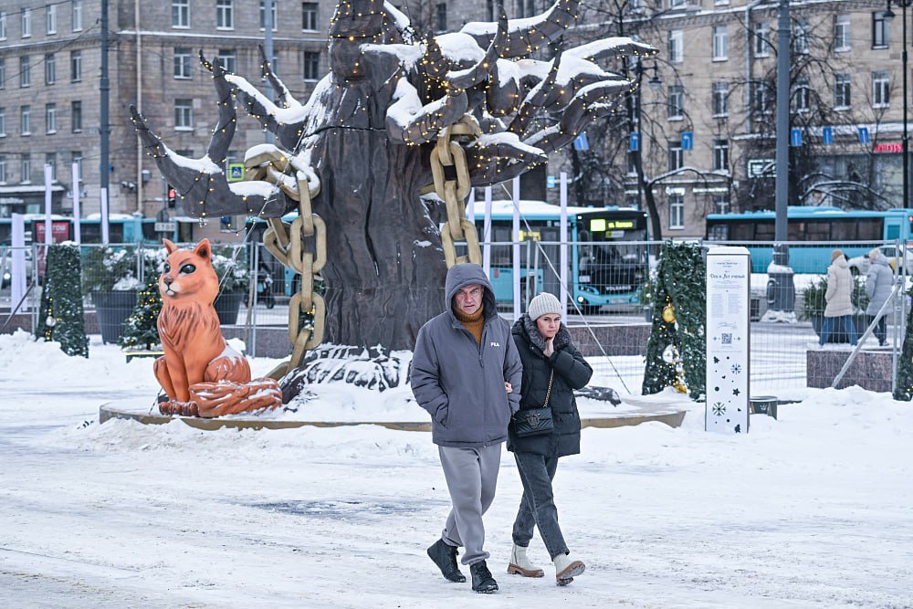 Как насчет русской новогодней ярмарки Петербургские рождественские ярмарки в этом году сменят европейский стиль на русский Площадки на Малой Садовой Манежной и Дворцовой площадях украсят в национальной стилистике отказавшись от традиционного образа сказочного европейского городка рассказали в Смольном Бюджет при этом не увеличится пространства организуют и украсят на 267 млн рублей Ярмарки будут работать с середины декабря по середину января на пяти традиционных локациях включая Московскую площадь где уже в прошлом году использовали пушкинскую тематику Александр Гальперин От Личный Петербург  Подпишись на От Личный Петербург канал о любимом городе на Неве