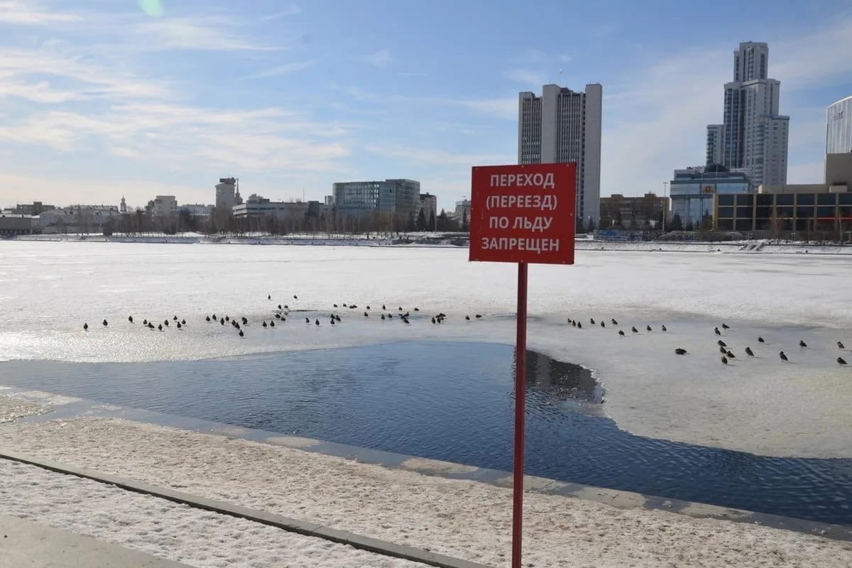 В Свердловской области четверо утонули под лед с начала сезона.  Среди погибших - два ребенка, рыбак и мужчина, выехавший на лед на автомобиле.  6 декабря в городе провели рейды по водоемам, где выявили три нарушения. Нарушители — пешеход и два рыбака — получили извещения о штрафах до 500 рублей.   Подписаться   Новости Екатеринбурга