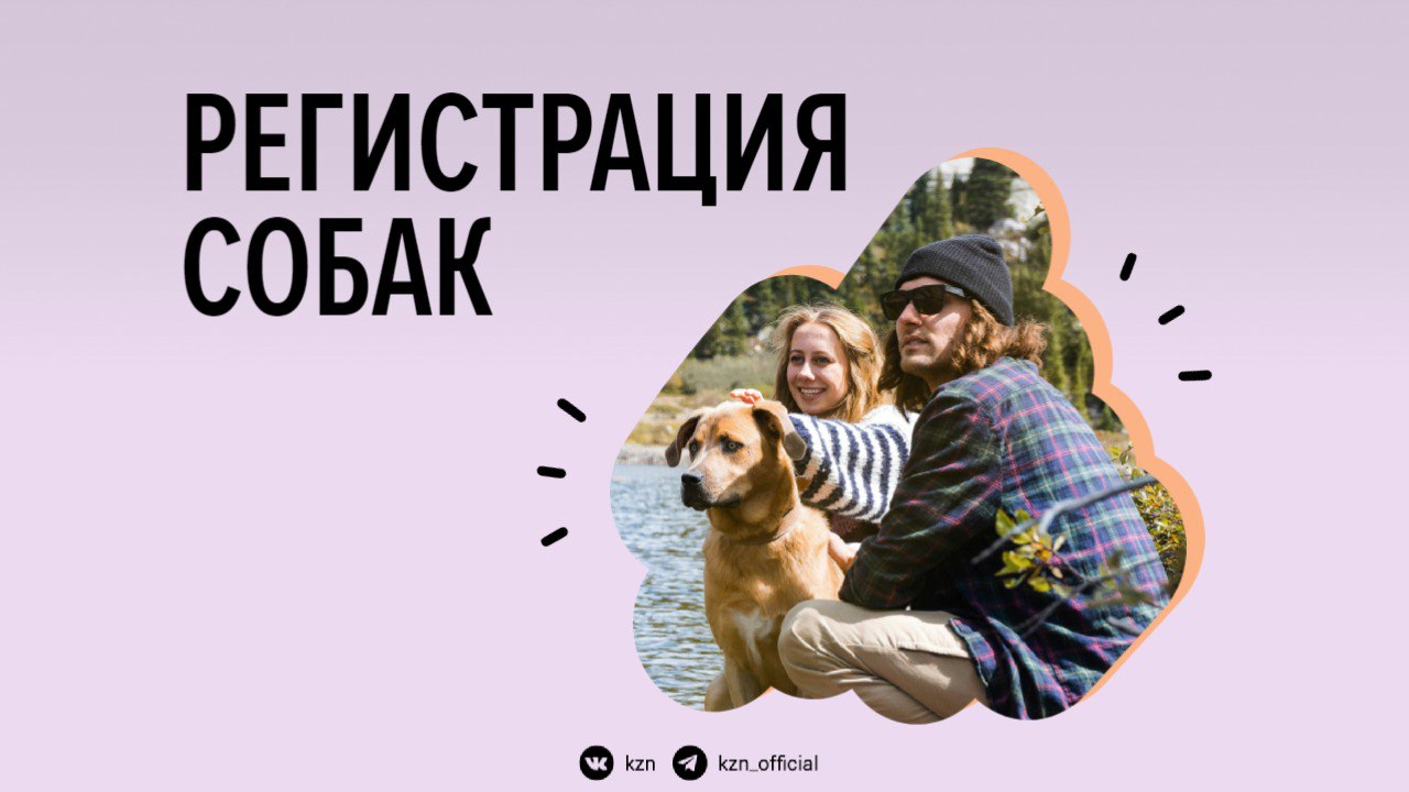 Уши, лапы и место в реестре — вот мои документы В Татарстане с 1 июля введут штрафы за несоблюдение правил регистрации собак. В Казани на сегодняшний день уже внесены в реестр 5314 животных, более 1400 из них — имеют чип. Он поможет вернуть питомца в случае потери, а также дает доступ к участию в выставках и соревнованиях. Если питомец не зарегистрирован, владельцу грозит предупреждение и штраф от 2 до 4 тысяч рублей. Повторное нарушение — 5 тысяч. Подробнее о регистрации рассказали в карточках По всем вопросам можно проконсультироваться в Госветобъединении: +7 843 295-08-49.