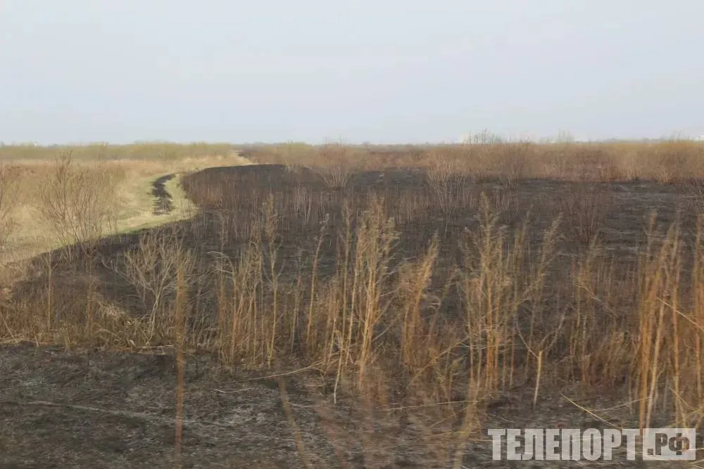 Гектары горели в Приамурье из за действий детей В Приамурье виновниками природных пожаров стали 12 несовершеннолетних В Амурской области сводки с полей в пожароопасный период не меняются с годами Огнеборцы нередко ликвидируют крупные палы за которыми стоят не злоумышленники а обычные дети Так в селе Песчаноозерка Октябрьского округа 10 летний ребенок искренне хотел помочь родителям высыпал золу на сухую траву но не убедился что она потушена В результате выжжено два гектара земли В селе Малиновке Бурейского округа брат и сестра 8 ми лет замерзли на прогулке и подожгли траву чтобы согреться Справиться с огнем ребята не смогли пламя разошлось на три гектара На сегодняшний день дознавателями МЧС уже установлен 21 виновник ландшафтных пожаров 12 из которых несовершеннолетние Материалы на юных поджигателей переданы в комиссию по делам несовершеннолетних сообщили в Главном управлении МЧС России по Амурской области Специалисты отмечают что пламя для ребенка всегда выглядит завораживающим а не опасным Самый эффективный способ уберечь детей от беды личный пример и постоянные разговоры Нужно объяснить детям что даже крошечная искра на сухой траве превращается в стену пламени быстрее чем они добегут до дома Уберите подальше спички и зажигалки а главное сами никогда не бросайте окурки в траву и не сжигайте мусор на участке обратились к амурчанам сотрудники МЧС ТЕЛЕПОРТ РФ здесь все об Амурской области  Мы в МАХ  Написать нам
