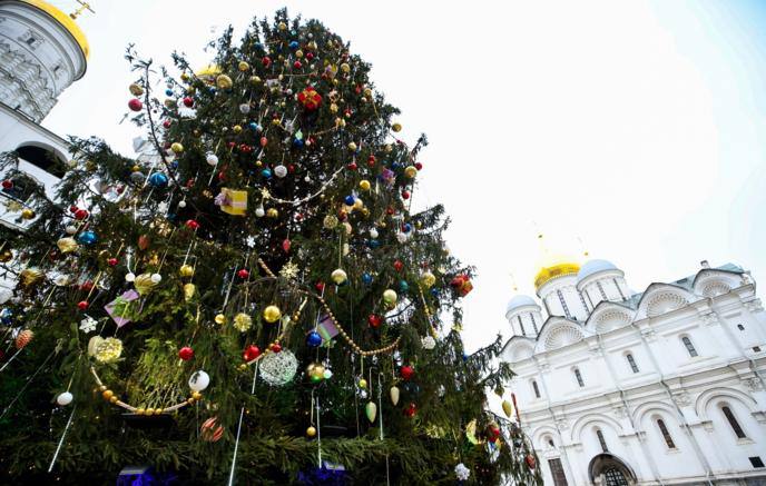 Кремлевская елка вошла в топ 10 самых высоких в мире Высота нашей красавицы 26 м она разделила 7 е место с главной ёлкой Чехии Самую высокую елку установили в Бразилии ее высота составляет 57 м На втором месте хвойная из Испании 35 м Бронзу забрала ель из Индонезии 33 м Фото Михаил Терещенко ТАСС Подписаться Прислать новость Чат