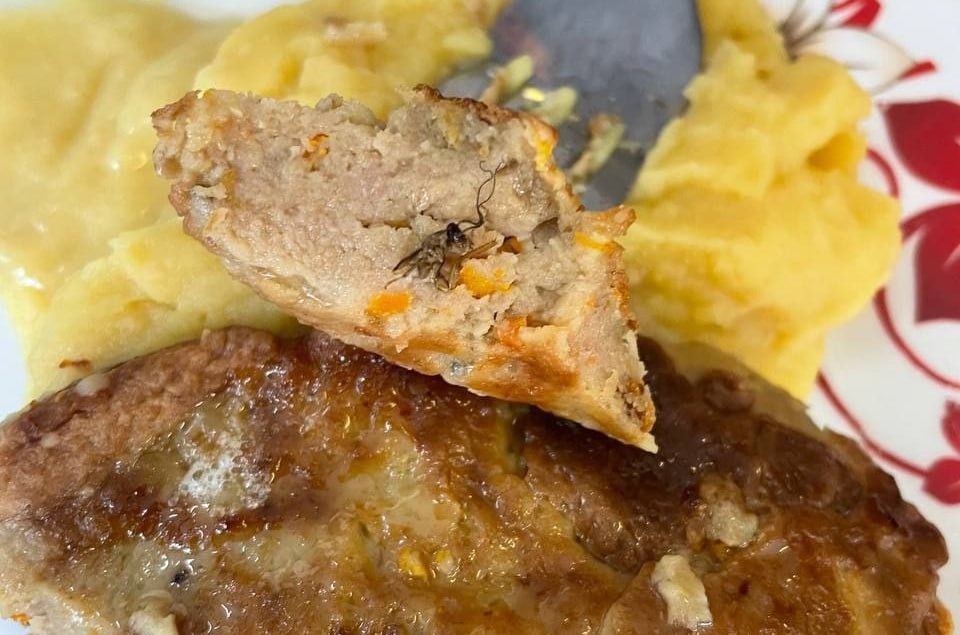 В школе 11 Владивостока дети обнаружили приготовленных тараканов в обеде Фотография с неаппетитным блюдом где насекомое угодило прямо внутрь котлеты и явно подверглось термической обработке разошлась по соцсетям Прокуратура отреагировала на информацию проверкой в этом учреждении Ведомство выяснит насколько насекомые вписываются в утвержденное меню Особое внимание будет уделено соответствию фактического питания утвержденному меню качеству продуктов и готовых блюд а также условиям их приготовления и хранения По результатам проверки будет принят комплекс мер реагирования отмечают в прокуратуре С привлечением специалистов Роспотребнадзора прокуратура даст оценку соблюдению школой требований санитарно эпидемиологического законодательства Отметим что в большинстве школ и детских садов Владивостока питание предоставляется компаниями аутсорсерами которые выиграли тендеры на его организацию На этом рынке регулярно происходит битва за контракты в ней участвуют даже структуры из далеких от Приморья регионов Вместе с тем само качество питания оставляет желать лучшего