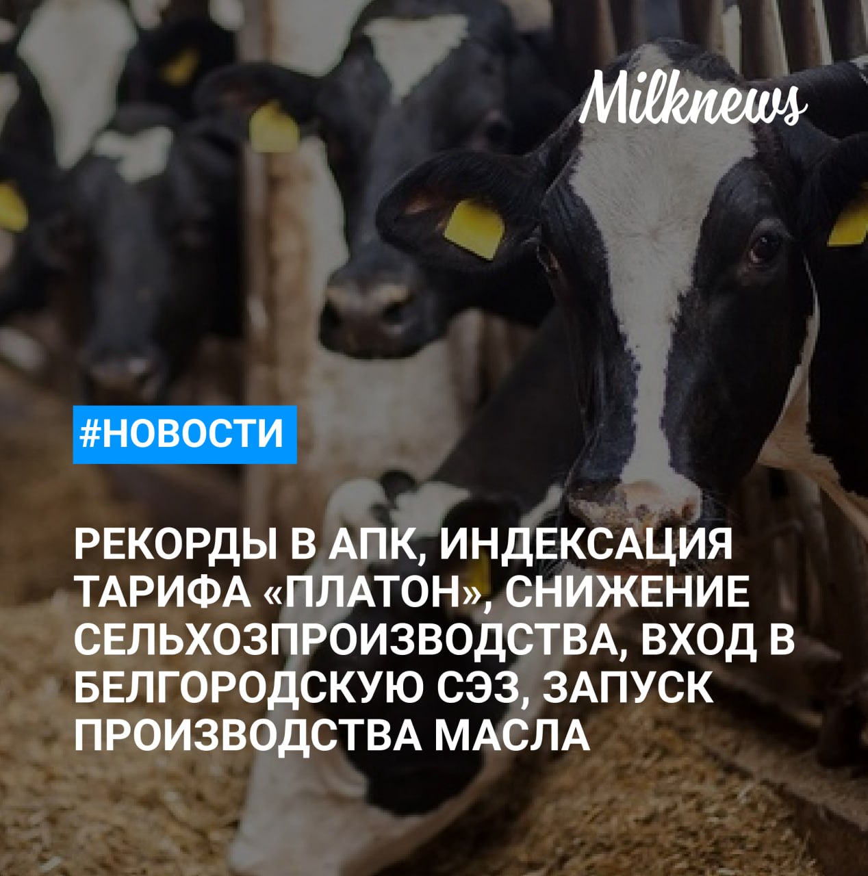 Россельхозбанк: Россия в 2024 году достигла 12 рекордов в АПК    Тариф «Платон» проиндексировали до 3,34 рубля за 1 км    Производство продукции сельского хозяйства в России в 2024 году снизилось на 3,2%    ОАО «Молоко» планирует войти в белгородскую СЭЗ    «Рота-Агро» запускает производство сливочного масла