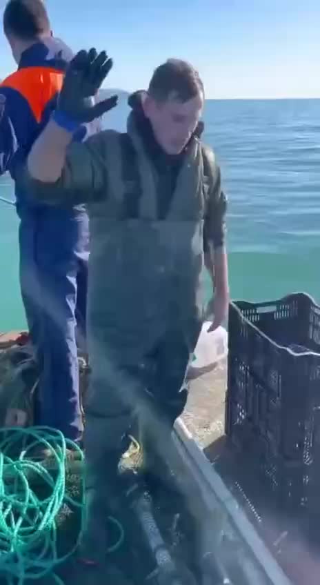 Рыбаки поймали и отпустили катрана в Черном море