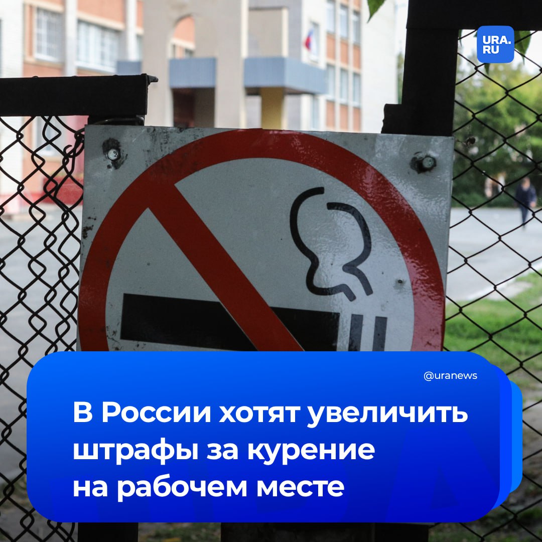 Штрафы за курение на рабочем месте предложили поднять в десять раз Такое обращение направила главе Минтруда Котякову лидер общественного движения Здоровое Отечество Лещинская Сейчас штраф за курение в неположенных местах составляет от 500 до 1500 рублей По словам Лещинской такие меры наказания недостаточно эффективны чтобы остановить нарушителей особенно в условиях распространения электронных сигарет Считаем необходимым увеличить размер штрафов в 10 раз до 5 000 15 000 рублей для физических лиц предусмотреть усиление ответственности для работодателей за систематические нарушения запрета курения на рабочих местах расширить полномочия трудовых инспекций и Роспотребнадзора по фиксации и пресечению подобных нарушений говорится в обращении его текст приводит РИА Новости В документе уточняется что курение на рабочих местах снижает продуктивность приводит к росту больничных и ухудшает климат в коллективе Подписаться на URA RU мы в MAX