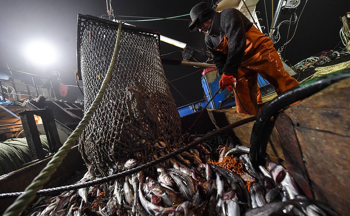 No cameras please  Ассоциация судовладельцев рыбопромыслового флота АСРФ обратилась в Минсельхоз с просьбой смягчить требование об обязательном оснащении рыбопромысловых судов средствами аудио и видеофиксации Параллельно свою позицию формирует Ассоциация добытчиков минтая АДМ и скоро направит ее в ведомство для обсуждения Об этом сообщает Ъ Проект приказа Минсельхоза обнародован в декабре 2025 го предусматривает что средства аудио и видеофиксации будут устанавливаться на объекты с главным двигателем мощностью от 55 киловатт и валовой вместимостью от 80 тонн Они должны обеспечить сбор обработку и хранение материалов в процессе вылова взвешивания и хранения водных биоресурсов включая крабов Данные будут передаваться в подведомственное Росрыболовству учреждение Мера направлена на предупреждение незаконного и нерегулируемого промысла По расчетам АСРФ нововведение затронет суда обеспечивающие около 90 вылова в российских водах и зонах международных соглашений На модернизацию флота потребуется не менее 5 млрд рублей Суда придется переоборудовать в основном в Южной Корее и Китае за счет более низкой стоимости предполагают там В случае каждой поломки оборудования которая потребует прервать промысел для ремонта на берегу на одну две недели судно может терять около 1 5 тыс тонн улова для минтая это порядка 100 млн рублей Риск поломок высок поскольку эксперимент по полноценному тестированию оборудования не был проведен  В Ассоциации предлагают на первом этапе сделать требование об обязательном оснащении судов средствами аудио и видеофиксации добровольным сдвинув срок его вступления как обязательного требования с 1 марта 2027 года на 1 марта 2028 года Там также считают целесообразным изучить возможности передачи данных с учетом ограниченной пропускной способности спутниковых интернет каналов в различных районах открытого моря выделить время на разработку программного обеспечения разработать стандарты установки оборудования Более того АСРФ предлагает отменить требование обязательного присутствия инспекторов погранслужбы при перегрузках улова и разрешить вести их в укрытиях в границах территориального моря Действующие правила ассоциация считает избыточными при наличии обязательной аудио и видеофиксации   Рыбхоз Всё о рыбе