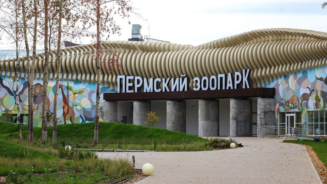 Новый зоопарк в Перми откроют в начале лета. А может не откроют, но очень сильно хотят. Во всяком случае, такие сроки озвучил Зампред краевого правительства Андрей Алякринский. Он заверил, что открытие состоится не позднее июля: ⏪Ввод объекта будет в ближайшее время. Скажу с запасом — июль месяц точно⏩ Подписаться Прислать новость