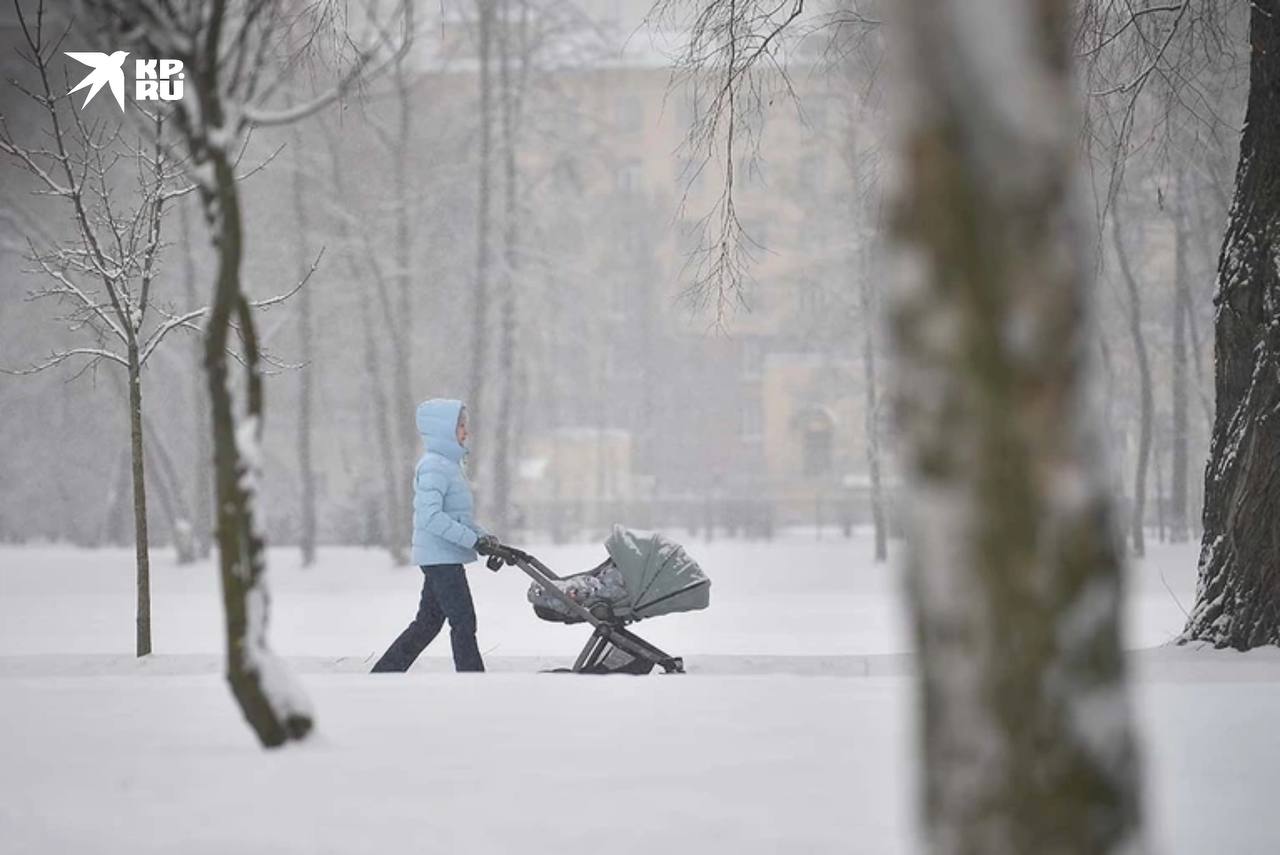 Выплату 50 тысяч рублей предложили ввести для петербуржцев с детьми до 7 лет Депутат местного ЗакСа Андрей Рябоконь предложил выплачивать семьям пособие в размере 50 тысяч рублей на каждого ребёнка в возрасте до 7 лет Рябоконь уверен что такая льгота поможет семьям выйти из бедности повысит их уверенность в будущем и увеличит рождаемость в ближайшие годы Алексей Булатов Читай нас в MAX Подпишись на Комсомольскую правду СПб