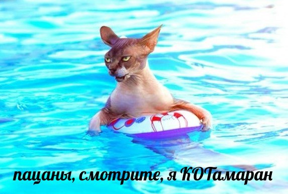 Чувашию и Татарстан могут связать новым водным маршрутом. По Волге хотят запустить речные туры на парусно-моторных катамаранах. Уже в следующем году планируют проводить экскурсии из Чебоксар через Свияжск до Казани