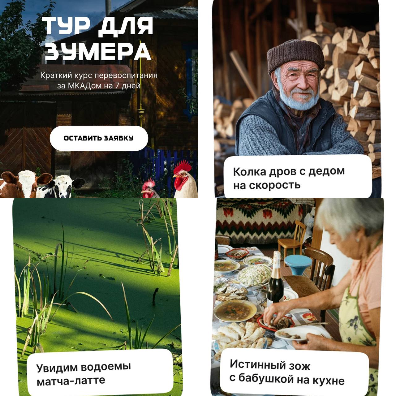 В России появились туры для перевоспитания зумеров Зумеров от 14 до 25 лет отправляют загород на 7 дней чтобы колоть дрова готовить еду следить за хозяйством и заниматься другими физическими активностями без интернета Стоимость тура от 19 900 Авторы обещают что каждый вернется домой взрослым и самостоятельным человеком