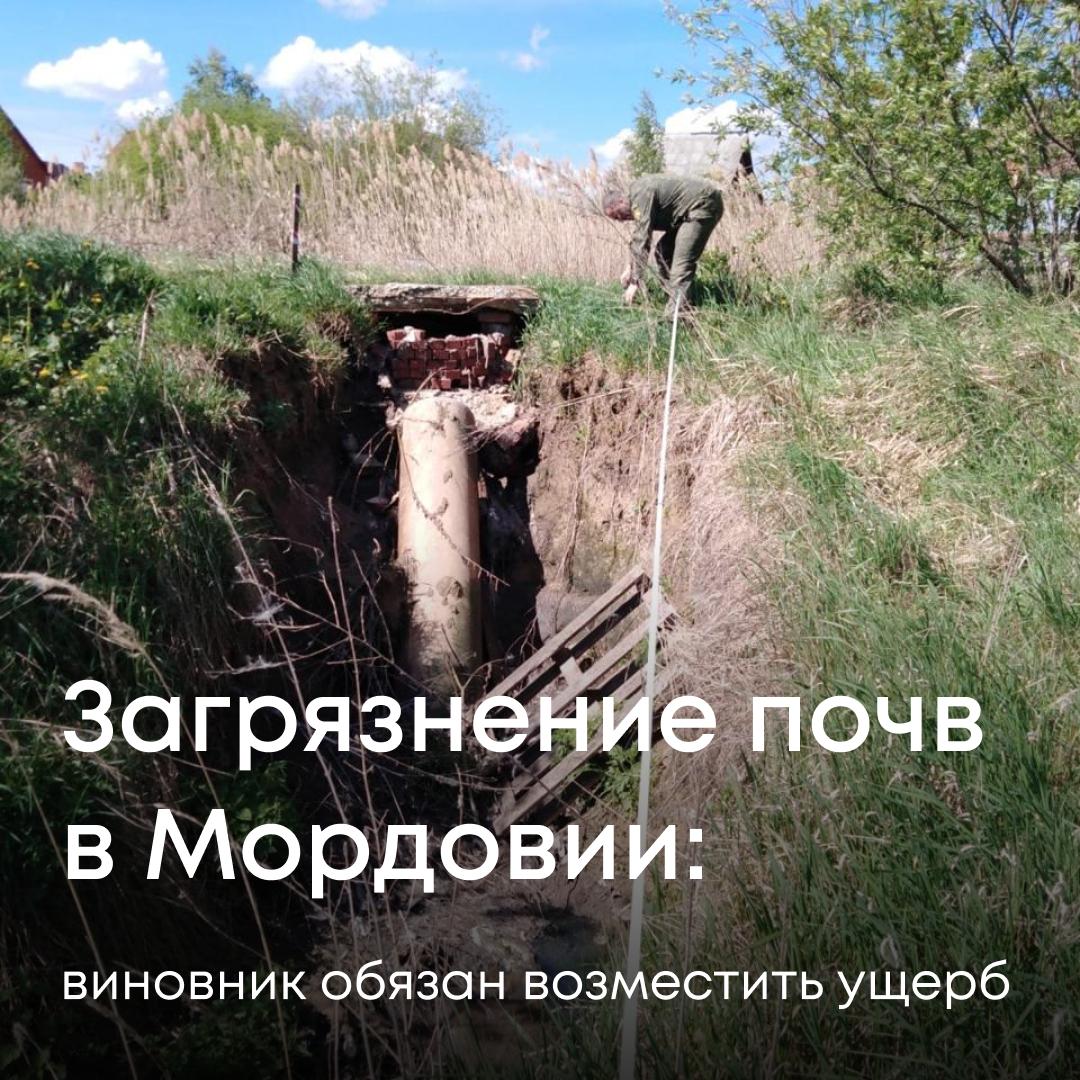 В мае 2023 года в городе Рузаевке зафиксирован сброс неочищенных сточных вод на землю. Источник — аварийный участок канализационной сети у дома №16 по ул. Родниковая. Почвы загрязнены на площади 120 м². Ответственным признано ООО «Рузаевское канализационное предприятие». Рассчитан вред. Компенсировать ущерб добровольно компания отказалась — вопрос решался в суде. Суды трех инстанций поддержали позицию Росприроднадзора. Предприятие обязано возместить ущерб в полном объеме.