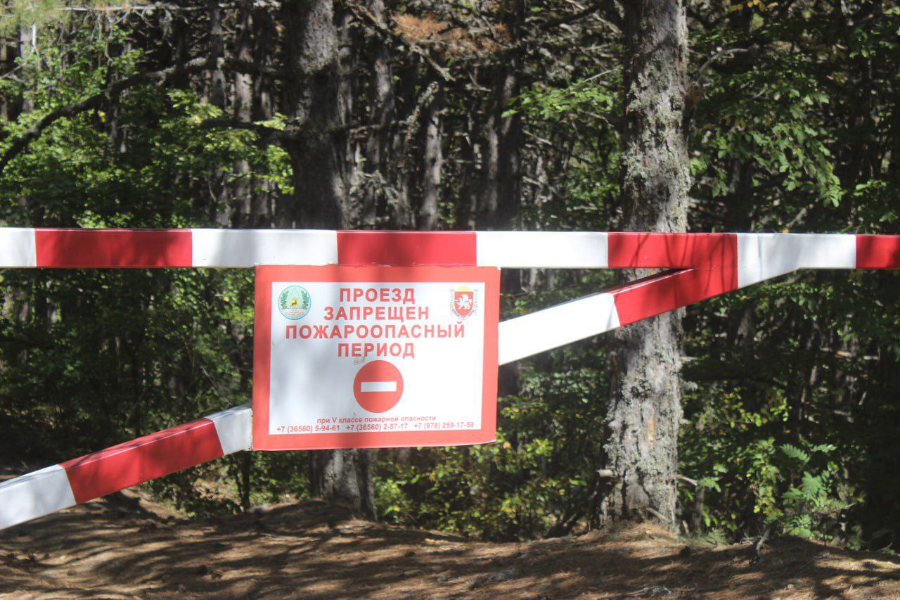 Посещение лесов в Крыму под запретом. В МЧС республики предупредили о продлении ограничения из-за угрозы возникновения ЧС.