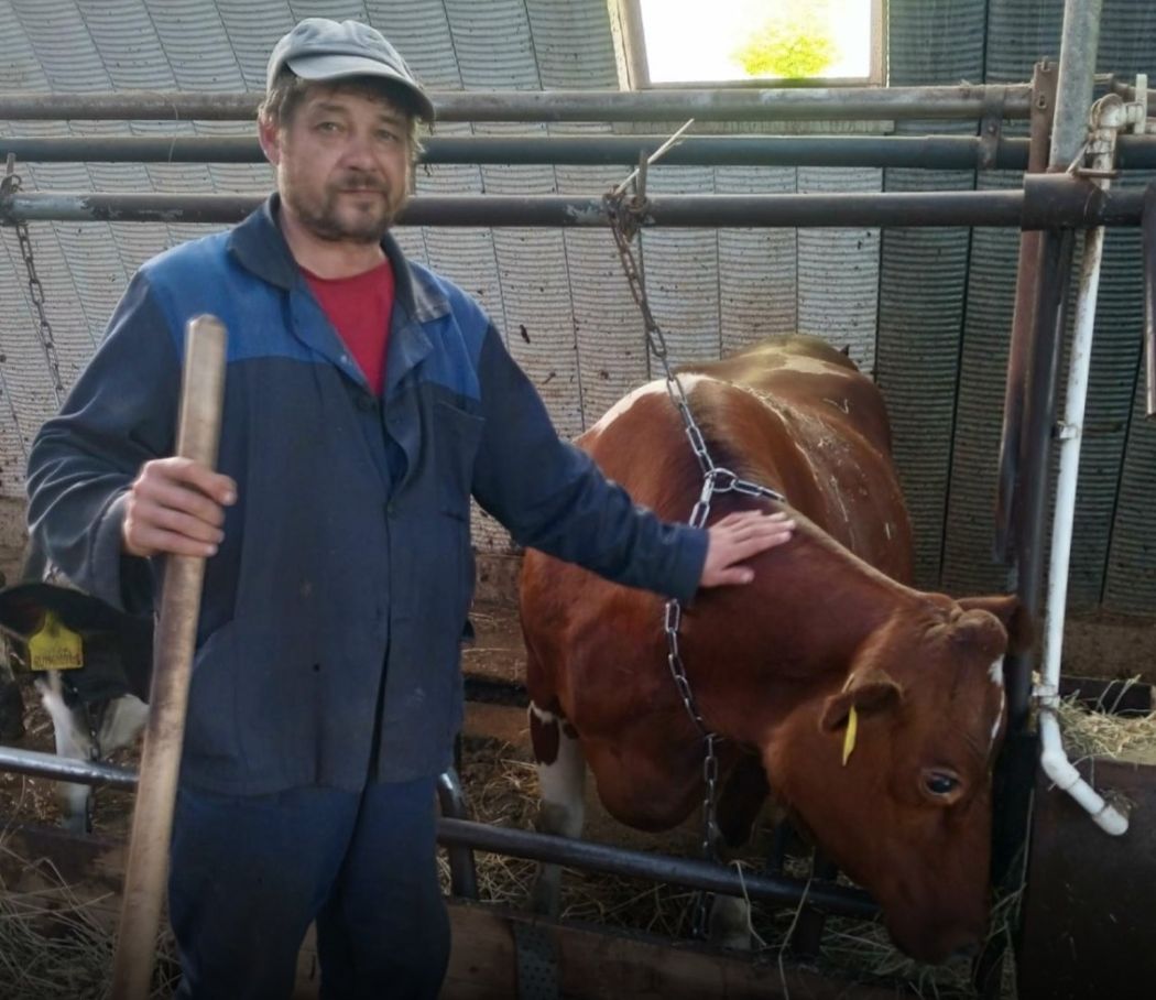 Предприниматель из Носима получил поддержку на строительство фермы Средства в размере 500 000 рублей аграрий получил по соглашению о социально экономическом сотрудничестве между Усть Куломским районом и СЛПК Сумма пошла на возмещение затрат на строительство Семейная ферма Георгия Китаева ещё в 2022 году стала одним из победителей грантового конкурса Минсельхоза Коми В 2023 году с господдержкой построили ферму на 30 голов крупного рогатого скота Сегодня в хозяйстве содержатся 29 голов крупного рогатого скота в том числе 15 коров и 80 овец За 2024 год ферма произвела 40 тонн молока и 1 тонну скота в живой массе на убой Оказание поддержки позволило увеличить продуктивность стада а также осуществлять сбыт молока на переработку в мини цех СППССК Усть Куломская МТС