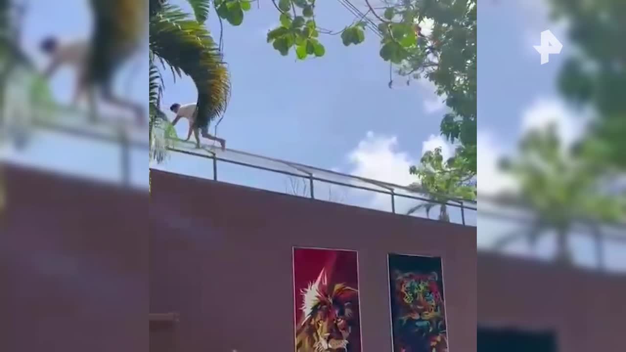 Молодой человек погиб в зоопарке Бразилии после проникновения в вольер львицы