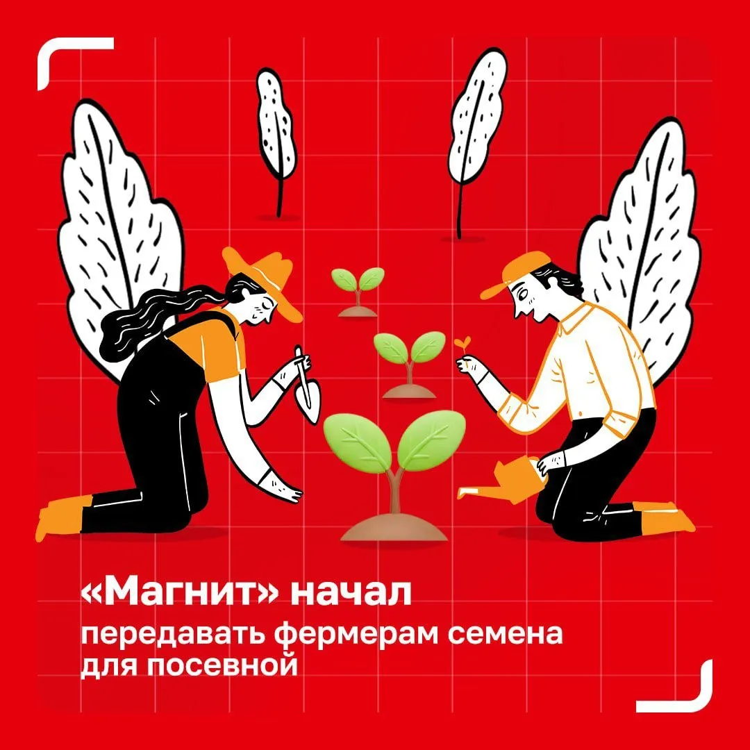 Магнит передает фермерам семена для посевной Магнит запустил новый инструмент поддержки партнерских хозяйств в рамках агроконтрактов В этом сезоне компания впервые напрямую передает фермерам семенной материал для выращивания овощей борщевого набора Первая партия уже отправлена в регионы В начале апреля партнерские хозяйства Волгоградской и Свердловской областей получили 400 тонн семенного картофеля а позже к программе добавятся и другие культуры Такой подход помогает фермерам быстрее выходить в поле и точнее планировать затраты Параллельно Магнит сохраняет и привычную форму поддержки авансирование денежными средствами на закупку семян техники и оборудования Агроконтракты остаются для сети важным каналом работы с малым и средним агробизнесом По этой модели с Магнитом уже сотрудничают более 100 небольших хозяйств а в 2025 году объем поставок фермерской продукции вырос на 9 до 231 1 тыс тонн АгроМагнит