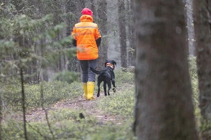 32 пропавших в октябре волгоградца нашли живыми Волонтеры волгоградского отряда ЛизаАлерт в октябре приняли от родных пропавших людей 52 заявки Найдены живыми 32 человека не удалось найти трех К сожалению 2 человека были обнаружены погибшими Так до сих пор не удалось найти 65 летнего Олега Солонуху который пропал 13 октября после того как вышел с работы в районе Ворошиловского кладбища Мы в МАХ max ru v102ru Подписывайтесь