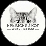 Аватар Телеграм канала: Крымский Кот | Симферополь, Севастополь, Ялта, Керчь, Джанкой
