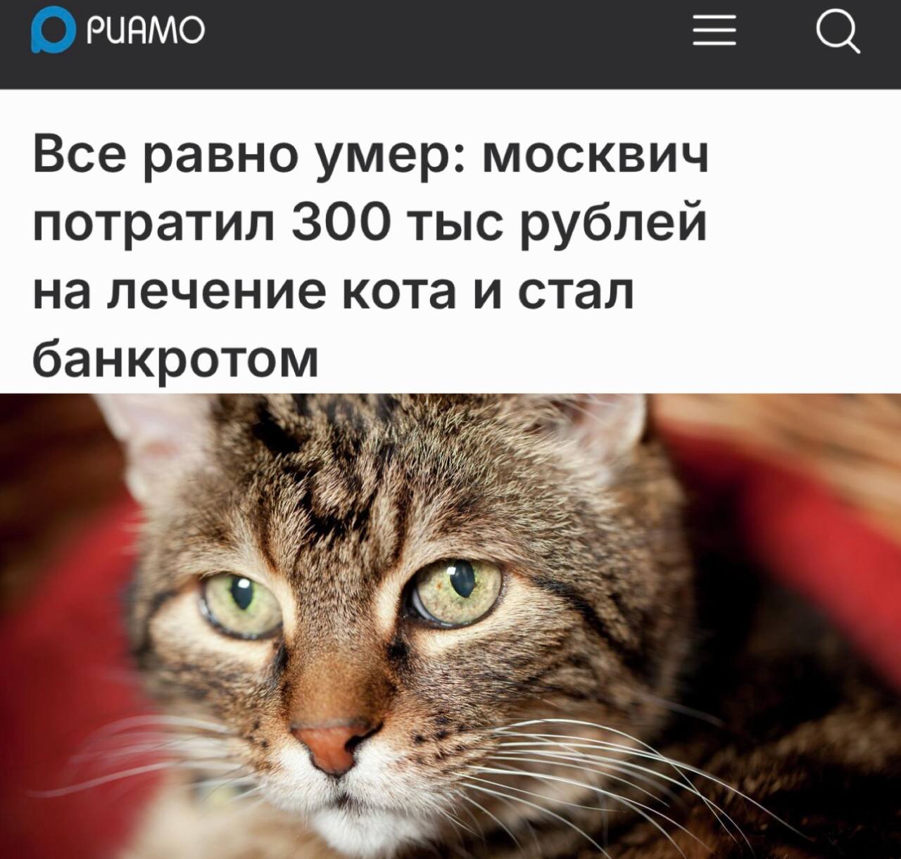 Москвич обанкротился из за лечения кота долг вырос до 1 2 млн рублей 29 летний Андрей взял кредит чтобы лечить кота Федю с мочекаменной болезнью Были операции и дорогое лечение В итоге кредит на 300 тысяч из за штрафов и пеней превратился в 1 2 млн Кота спасти не удалось хозяин подал на банкротство Прямой эфир Наш MAX