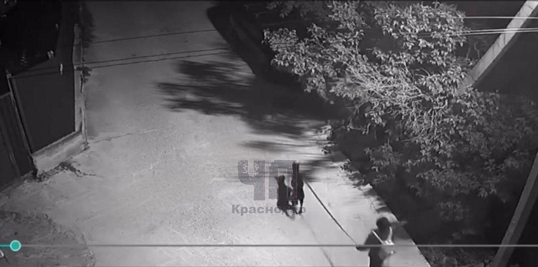 В Новороссийске на подростка напал доберман! Инцидент произошел вечером в Южном районе города. По словам родителей пострадавшего ребенка, собака была на поводке, но без намордника. Доберман внезапно бросился на проходившего мимо 14-летнего парня и укусил его. По словам школьника, хозяйка собаки никак не отреагировала на случившееся и просто ушла с места происшествия, не оказав помощи и даже не извинившись. Семья мальчика немедленно обратилась в полицию и отвезла ребенка в больницу, где ему сделали необходимые прививки. Правоохранительные органы начали проверку и разыскивают собаку и ее хозяйку. Главная задача – установить, была ли собака вакцинирована. К сожалению, момент нападения не был зафиксирован на камеру.